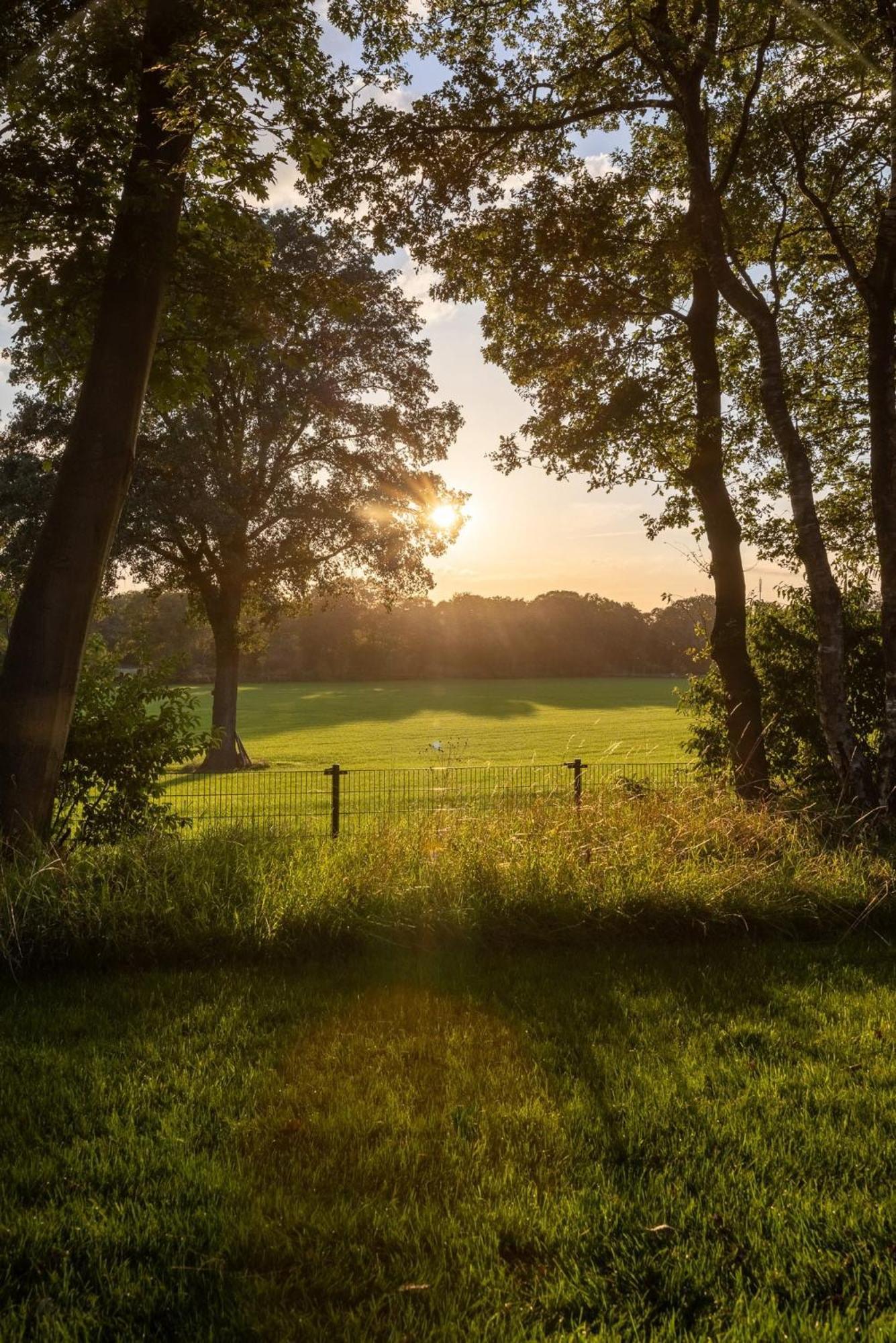 Zicht Op Twente - Spa Lodges มาร์เคโล ภายนอก รูปภาพ
